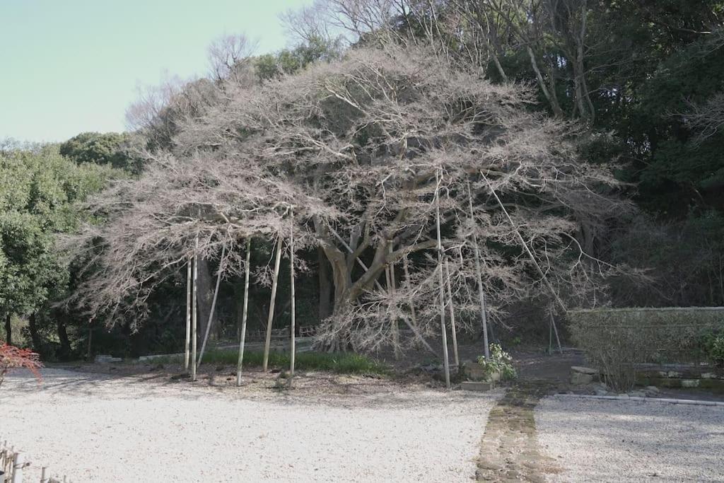 Вилла 甘糟屋敷 Amakasu Yashiki Камакура Экстерьер фото