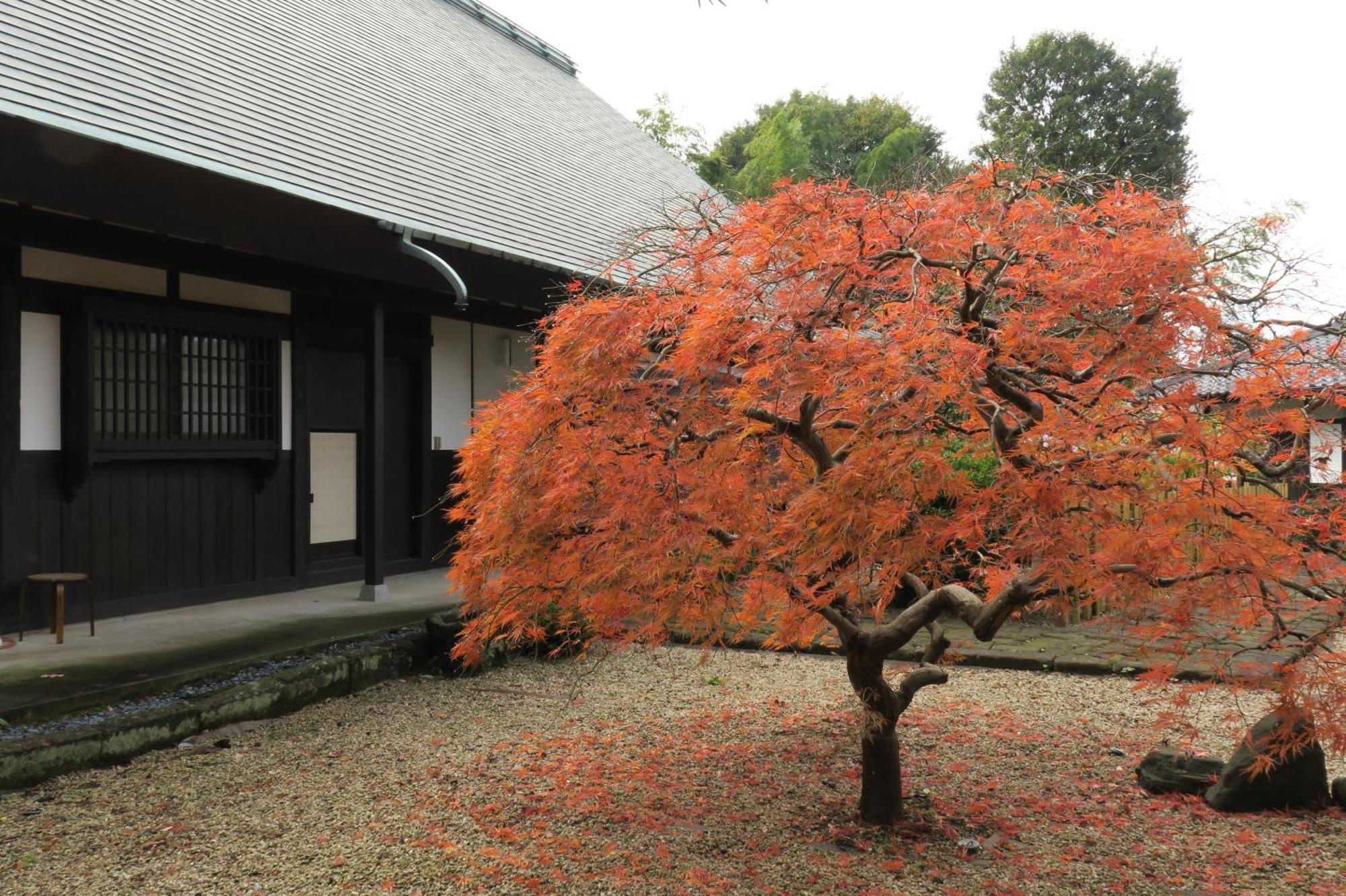 Вилла 甘糟屋敷 Amakasu Yashiki Камакура Экстерьер фото